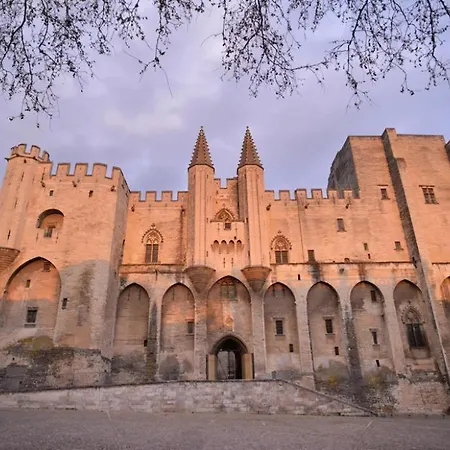 Lunaria Annua Coeur Centre-Historique Avignon, A Deux Pas Du Palais, 4-5 Personnes Clim Wifi Exterior photo
